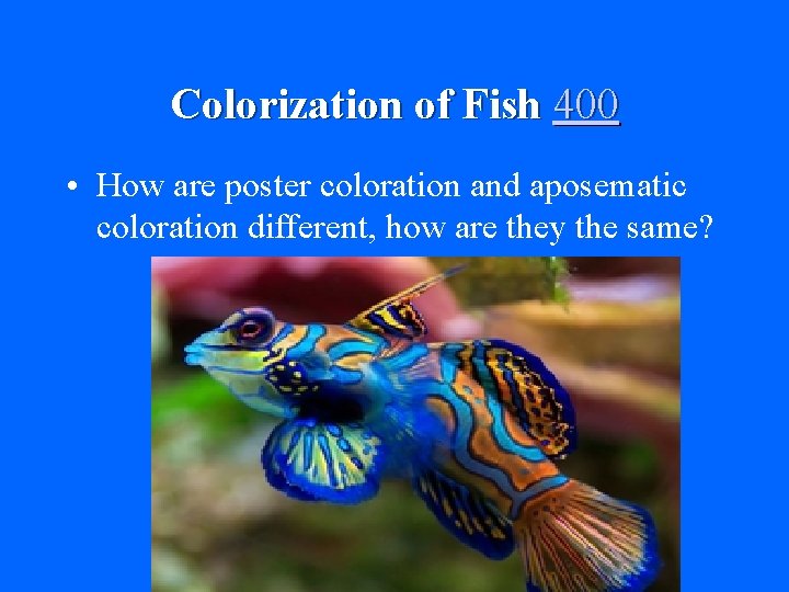 Colorization of Fish 400 • How are poster coloration and aposematic coloration different, how