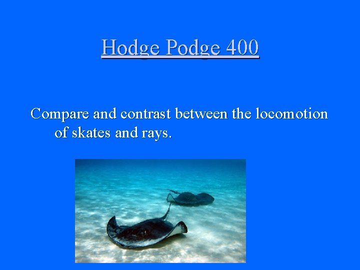 Hodge Podge 400 Compare and contrast between the locomotion of skates and rays. 