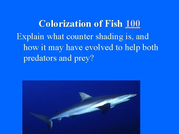 Colorization of Fish 100 Explain what counter shading is, and how it may have