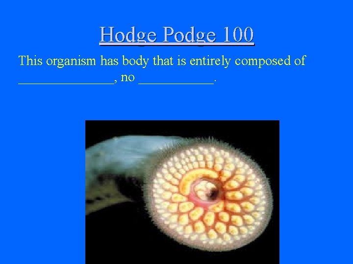 Hodge Podge 100 This organism has body that is entirely composed of _______, no