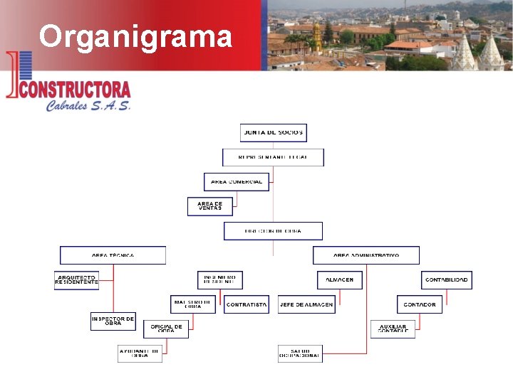 Organigrama 