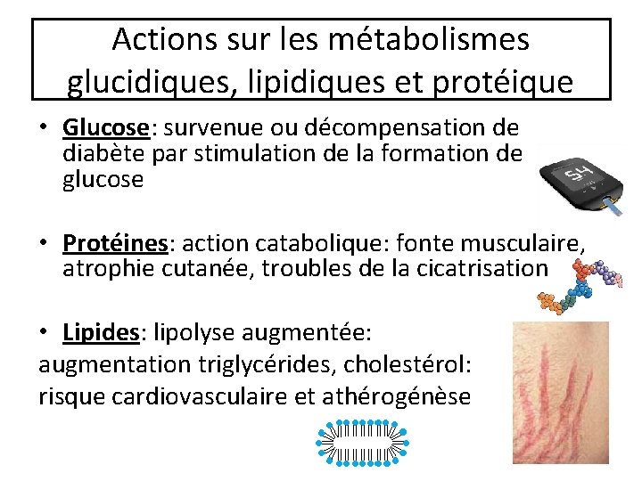 Actions sur les métabolismes glucidiques, lipidiques et protéique • Glucose: survenue ou décompensation de