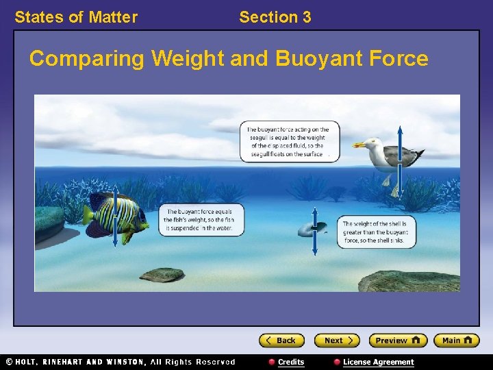States of Matter Section 3 Comparing Weight and Buoyant Force 
