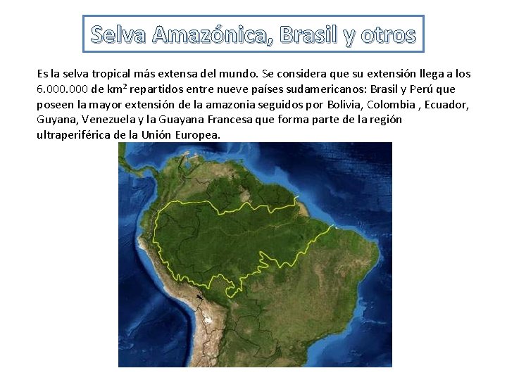 Selva Amazónica, Brasil y otros Es la selva tropical más extensa del mundo. Se