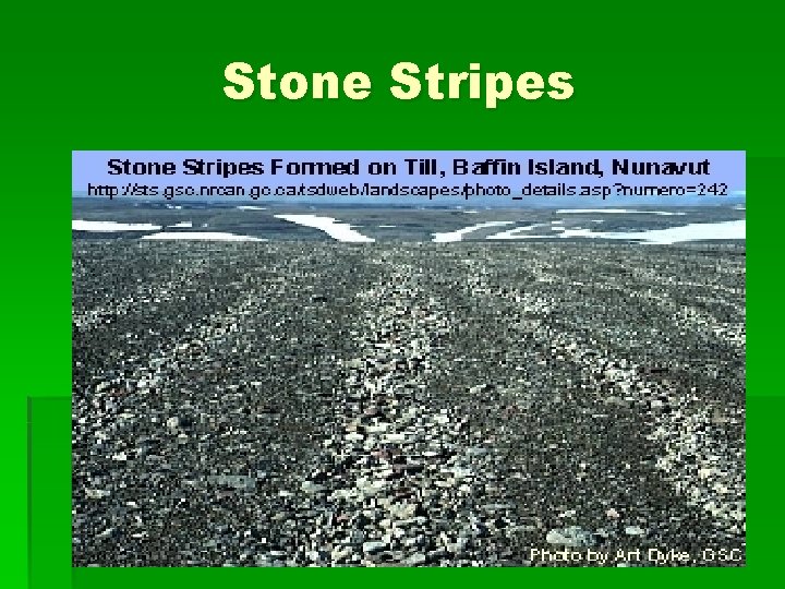 Stone Stripes 