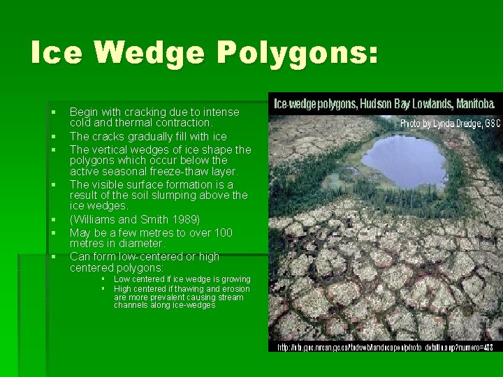 Ice Wedge Polygons: § § § § Begin with cracking due to intense cold