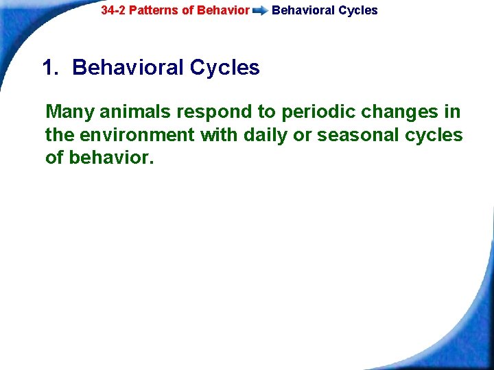 34 -2 Patterns of Behavioral Cycles 1. Behavioral Cycles Many animals respond to periodic