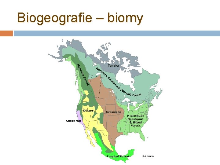 Biogeografie – biomy 