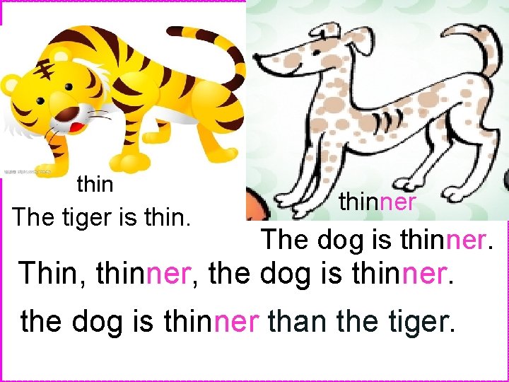 thin The tiger is thinner The dog is thinner. Thin, thinner, the dog is