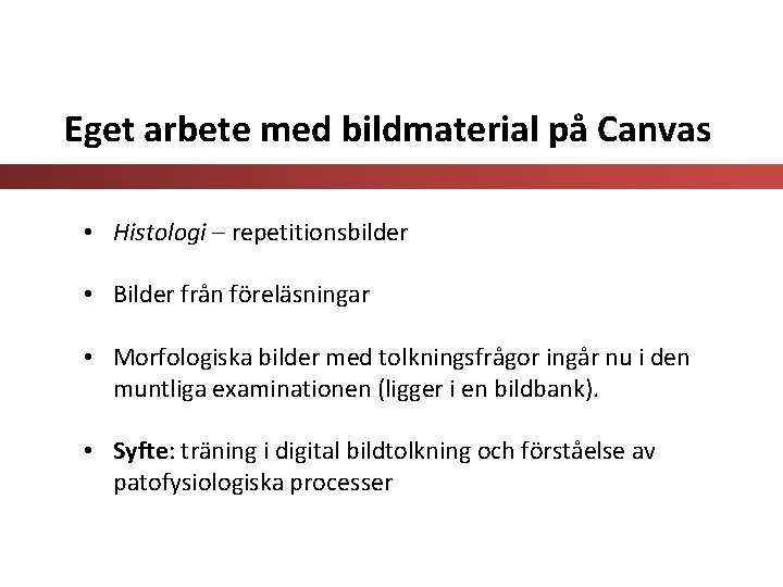 Eget arbete med bildmaterial på Canvas • Histologi – repetitionsbilder • Bilder från föreläsningar