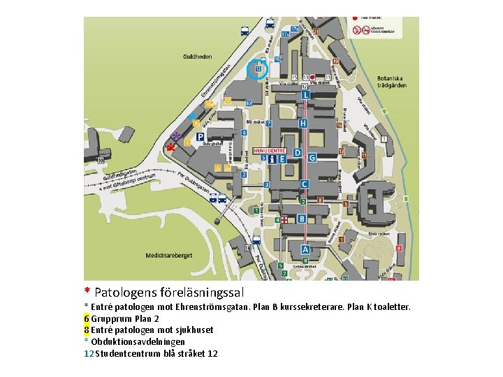 * * Patologens föreläsningssal * Entré patologen mot Ehrenströmsgatan. Plan B kurssekreterare. Plan K