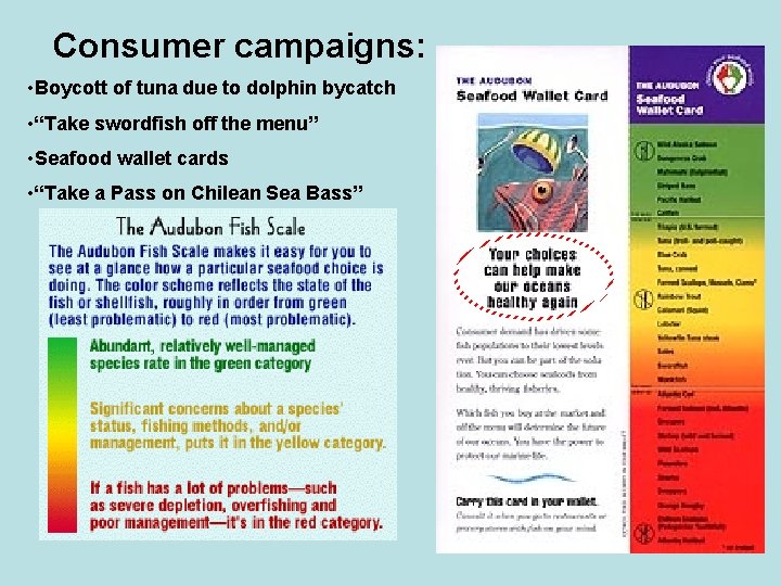 Consumer campaigns: • Boycott of tuna due to dolphin bycatch • “Take swordfish off