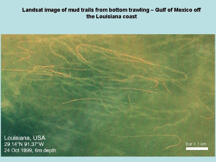 Landsat image of mud trails from bottom trawling – Gulf of Mexico off the