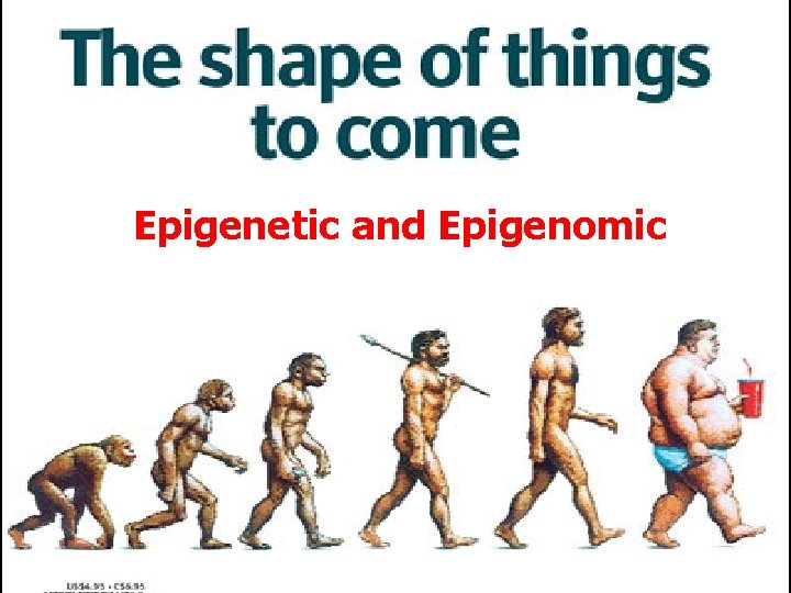 Epigenetic and Epigenomic 