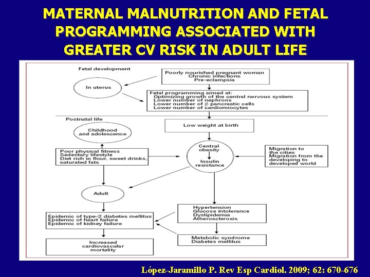 MATERNAL MALNUTRITION AND FETAL PROGRAMMING ASSOCIATED WITH GREATER CV RISK IN ADULT LIFE López-Jaramillo
