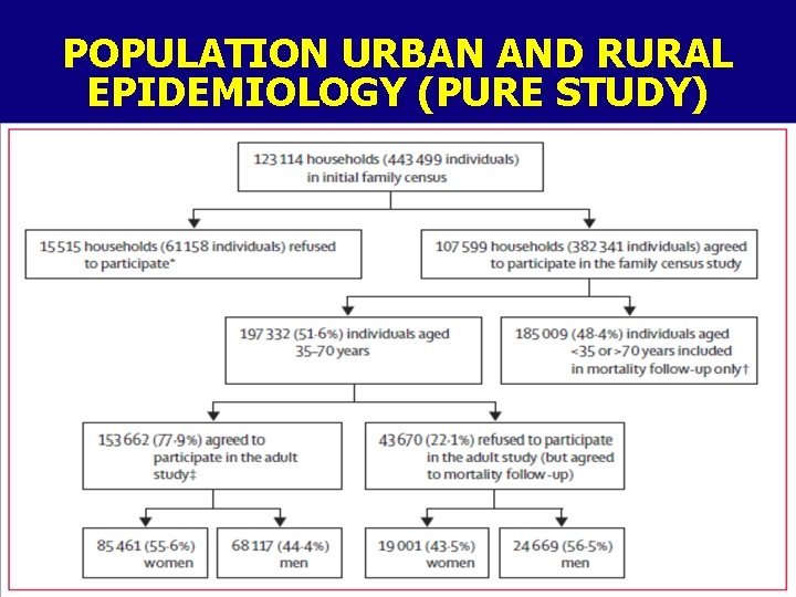 POPULATION URBAN AND RURAL EPIDEMIOLOGY (PURE STUDY) 