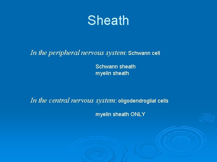 Sheath In the peripheral nervous system: Schwann cell Schwann sheath myelin sheath In the Sheath In the peripheral nervous system: Schwann cell Schwann sheath myelin sheath In the
