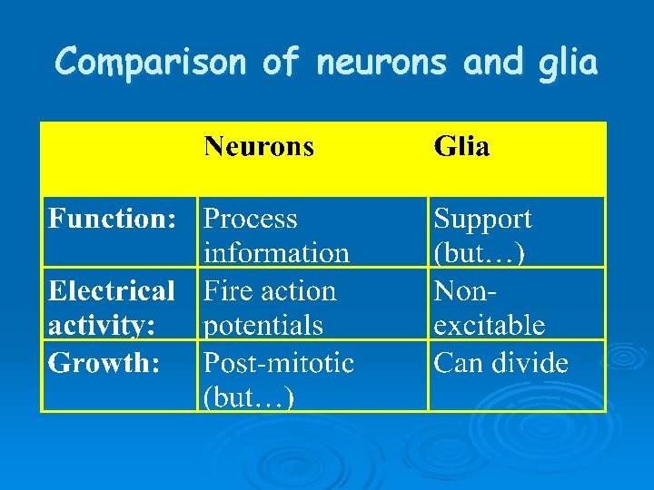 Comparison of neurons and glia Comparison of neurons and glia