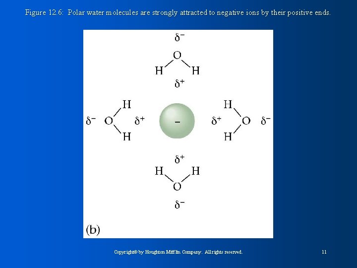 Figure 12. 6: Polar water molecules are strongly attracted to negative ions by their