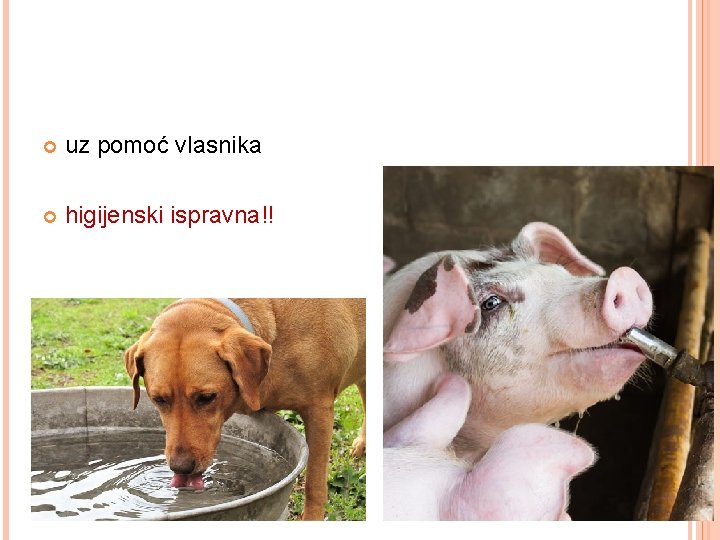  uz pomoć vlasnika higijenski ispravna!! 