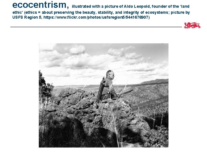 ecocentrism, illustrated with a picture of Aldo Leopold, founder of the ‘land ethic’ (ethics