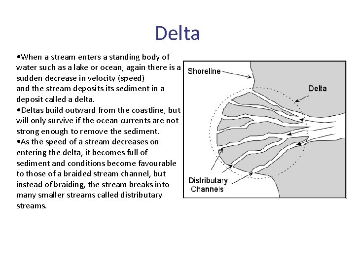 Delta • When a stream enters a standing body of water such as a