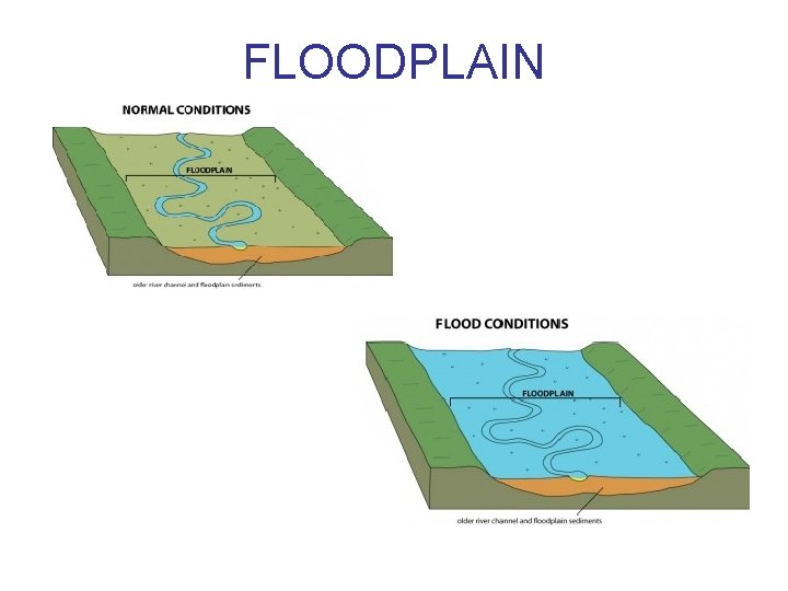 FLOODPLAIN 