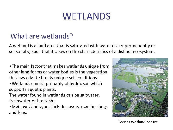 WETLANDS What are wetlands? A wetland is a land area that is saturated with