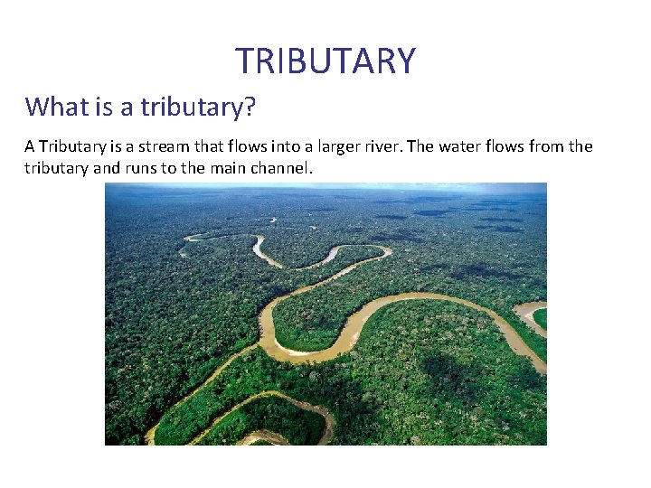 TRIBUTARY What is a tributary? A Tributary is a stream that flows into a