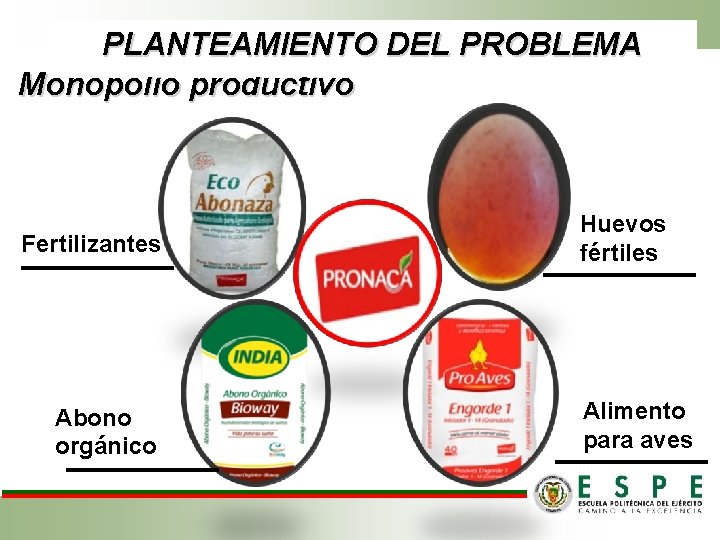 PLANTEAMIENTO DEL PROBLEMA Monopolio productivo Fertilizantes Abono orgánico Huevos fértiles Alimento para aves 