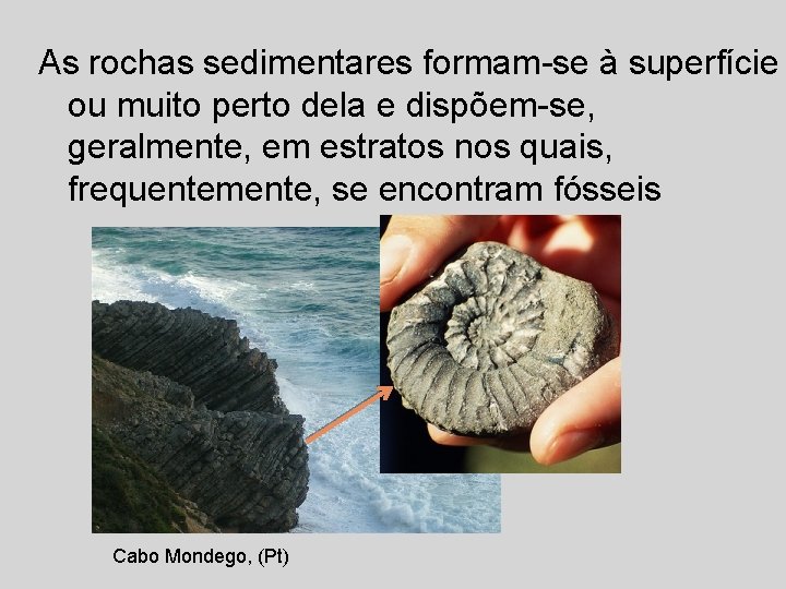 As rochas sedimentares formam-se à superfície ou muito perto dela e dispõem-se, geralmente, em