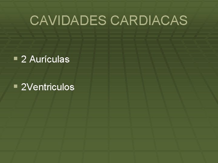CAVIDADES CARDIACAS § 2 Aurículas § 2 Ventriculos 