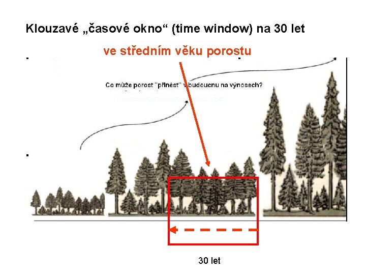 Klouzavé „časové okno“ (time window) na 30 let ve středním věku porostu 30 let