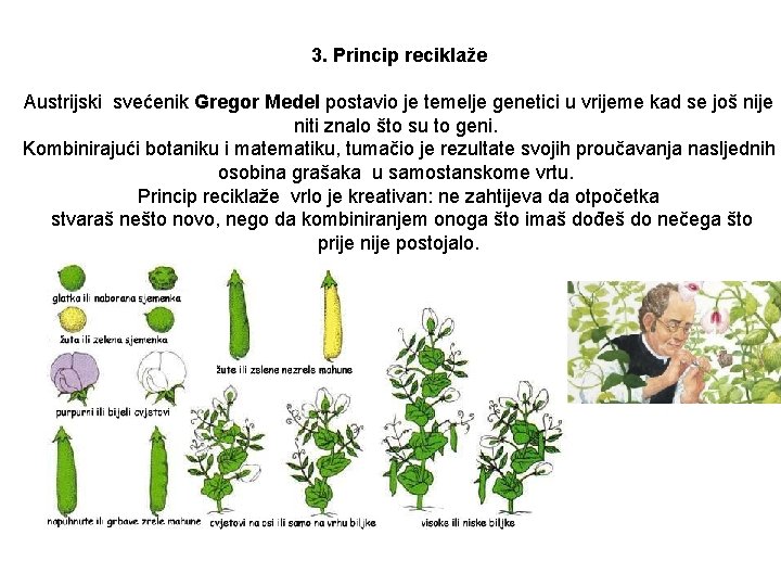 3. Princip reciklaže Austrijski svećenik Gregor Medel postavio je temelje genetici u vrijeme kad