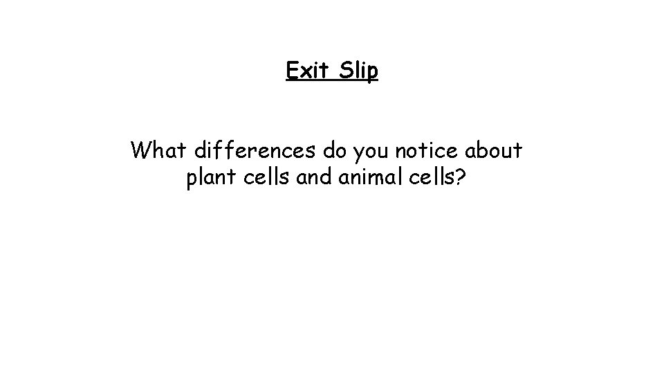 Exit Slip What differences do you notice about plant cells and animal cells? 