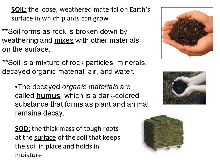 SOIL: the loose, weathered material on Earth’s surface in which plants can grow **Soil