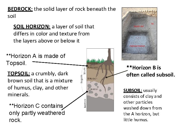 BEDROCK: the solid layer of rock beneath the soil SOIL HORIZON: a layer of