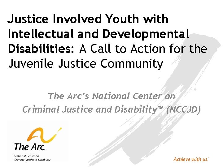 Justice Involved Youth with Intellectual and Developmental Disabilities: A Call to Action for the