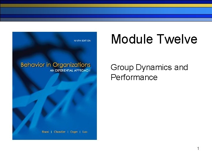 Module Twelve Group Dynamics and Performance 1 Advantages