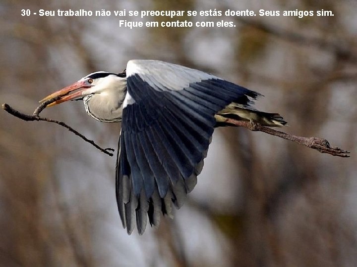 30 - Seu trabalho não vai se preocupar se estás doente. Seus amigos sim.