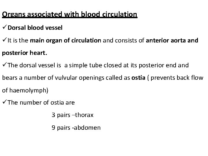 Organs associated with blood circulation Dorsal blood vessel It is the main organ of
