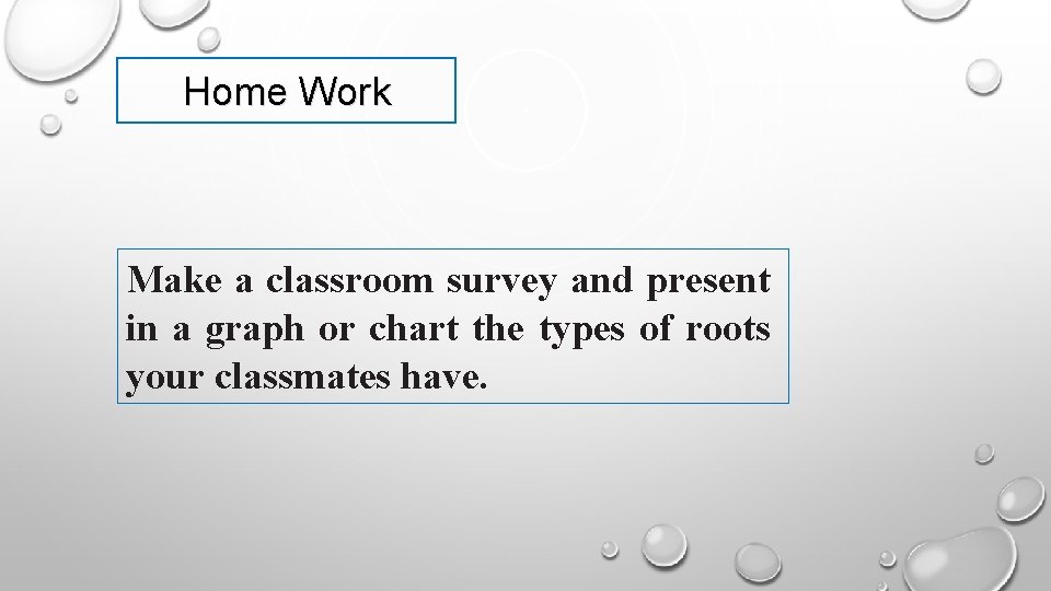 Home Work Make a classroom survey and present in a graph or chart the