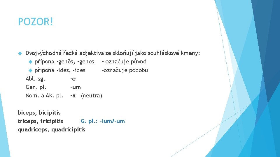 POZOR! Dvojvýchodná řecká adjektiva se skloňují jako souhláskové kmeny: přípona -genēs, -genes - označuje