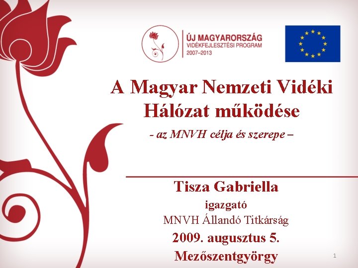 A Magyar Nemzeti Vidéki Hálózat működése - az MNVH célja és szerepe – Tisza