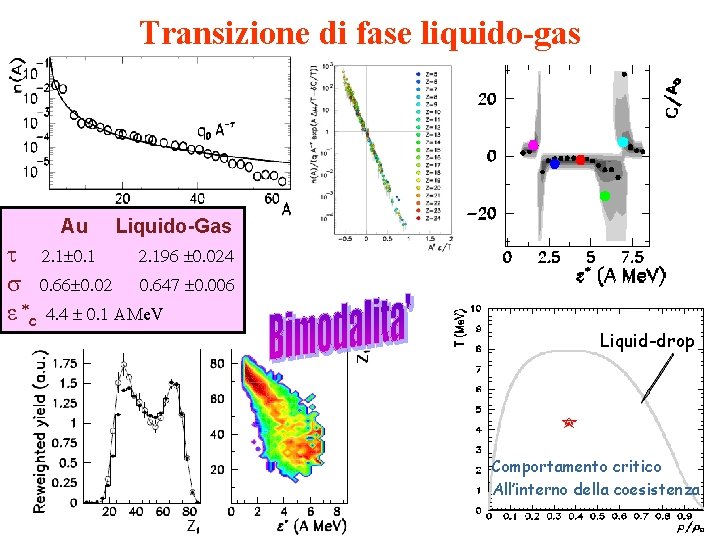 Transizione di fase liquido-gas Au Liquido-Gas ε c e. V Liquid-drop Comportamento critico All’interno