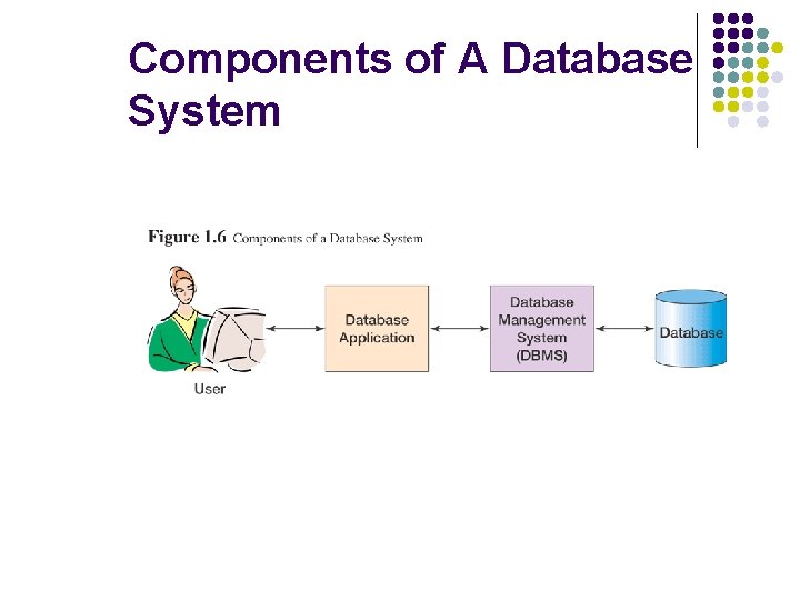 Database Windows Component INFS 215 Introduction to Databases Subash C Biswas