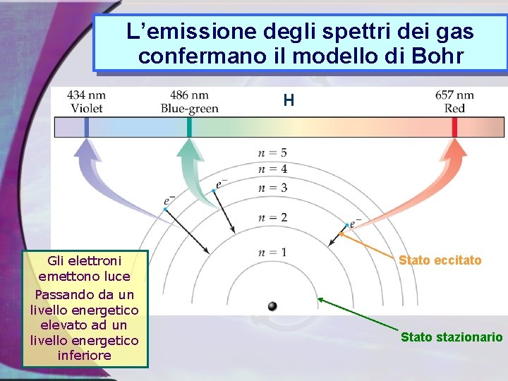 L’emissione degli spettri dei gas confermano il modello di Bohr H ee. Gli elettroni