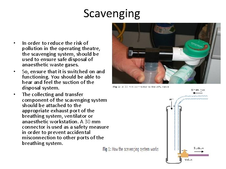 Scavenging • • • In order to reduce the risk of pollution in the