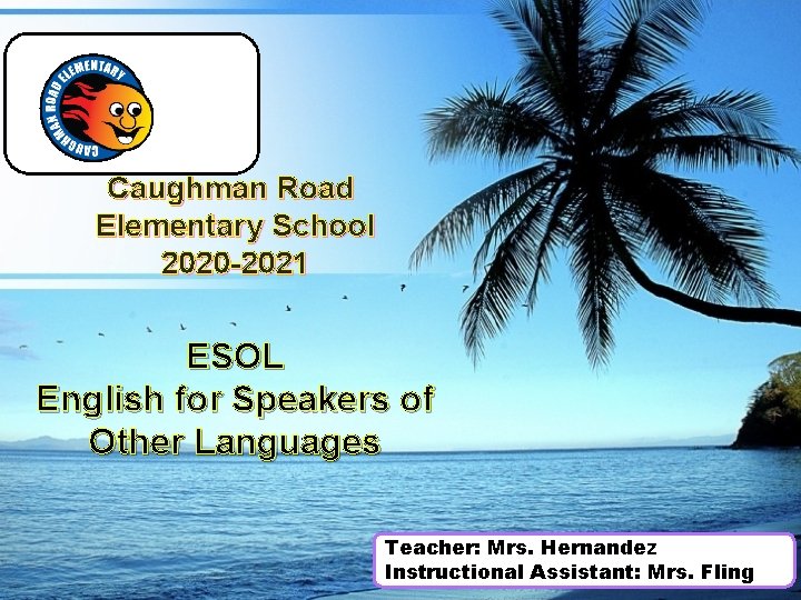 Caughman Road Elementary School 2020 -2021 ESOL English for Speakers of Other Languages Teacher: