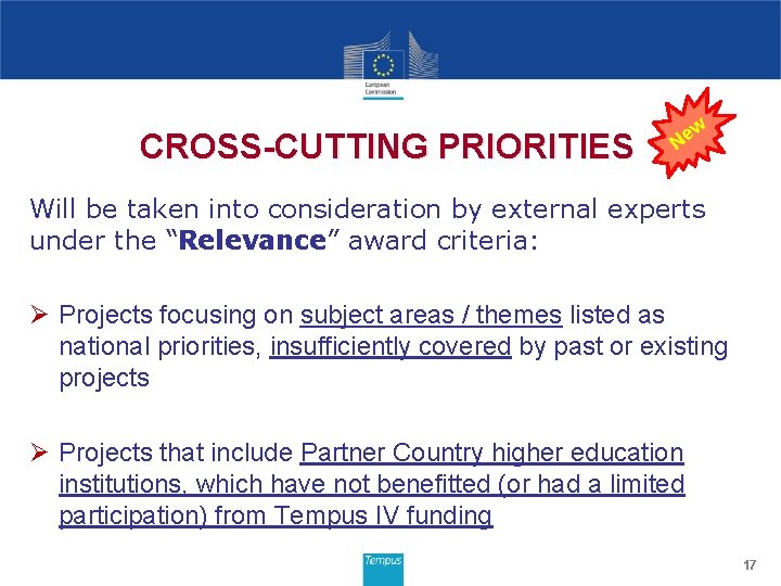 CROSS-CUTTING PRIORITIES w Ne Will be taken into consideration by external experts under the